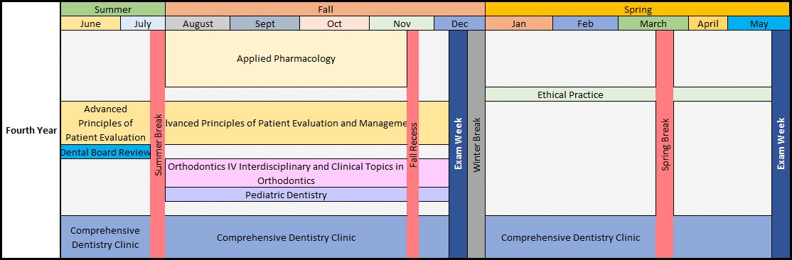 Fourth Year Curriculum