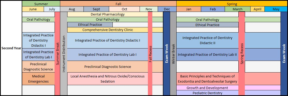 Second Year Curriculum