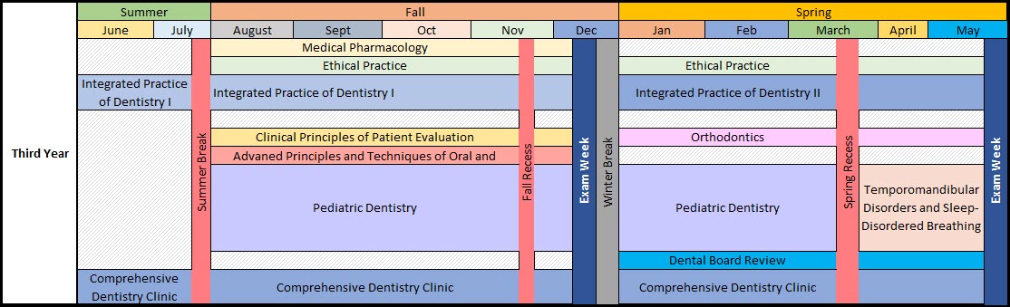 Third Year Curriculum matrix